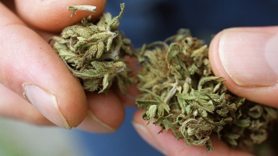 Kiffen ist strafbar, 10 Gramm Cannabis im Gepäck nicht: Die Zürcher Jugendanwaltschaft findet das inkonsequent.