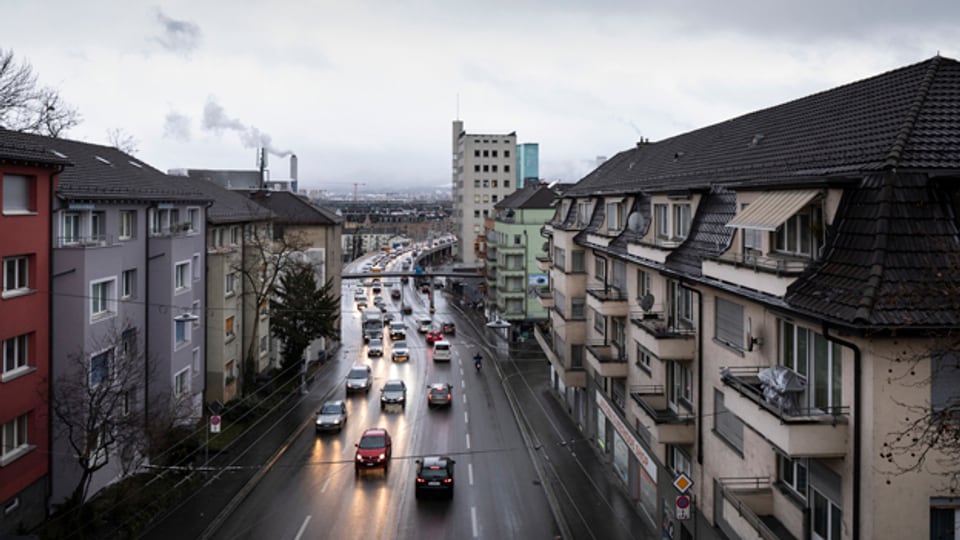 Zürichs Stadtrat Richard Wolff fordert eine verbindliche Fahrzeuglimite am Rosengarten.