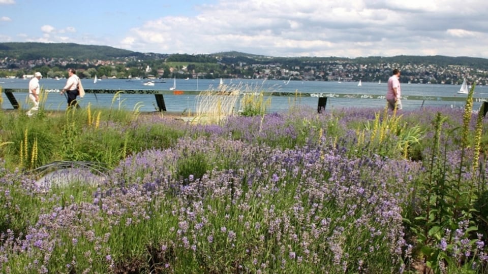 Die Motionäre sehen den Freiraum am See in Zürich-Wollishofen in Gefahr. .