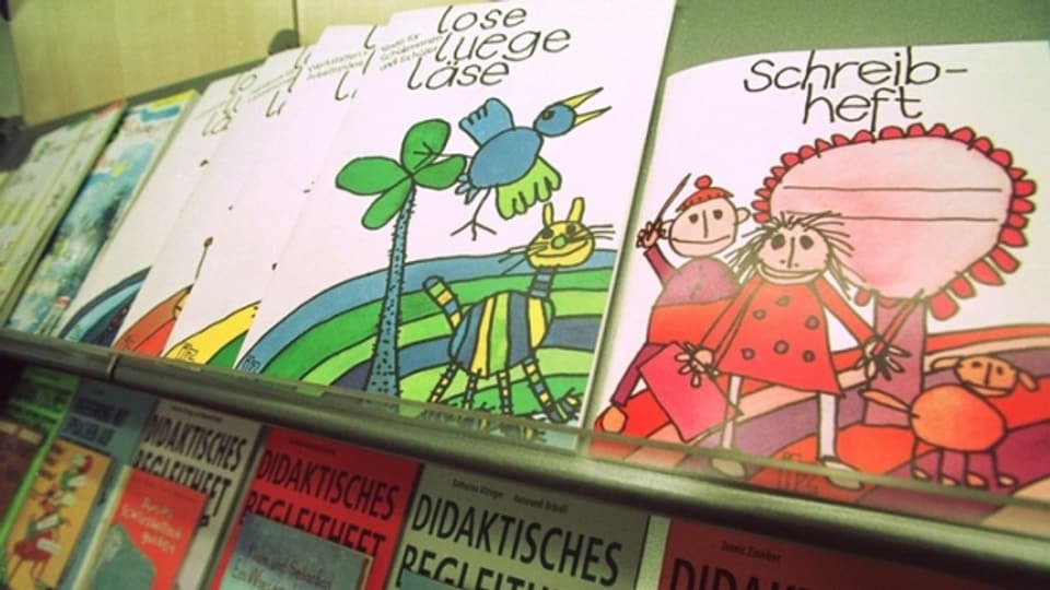 Zürcher Lehrmittelverlag: Verselbständigung ja – aber nicht so