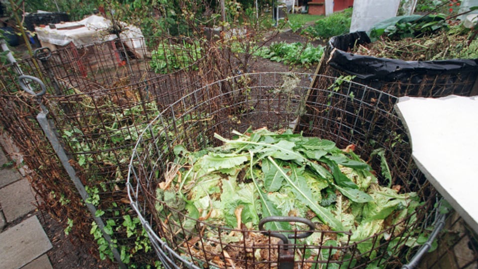 So sollte der Kompost aussehen: ohne Plastik