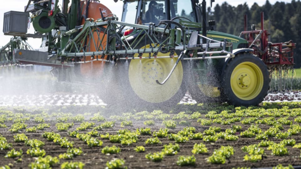 Pestizide im Trinkwasser - sie kommen vor allem aus der Landwirtschaft.