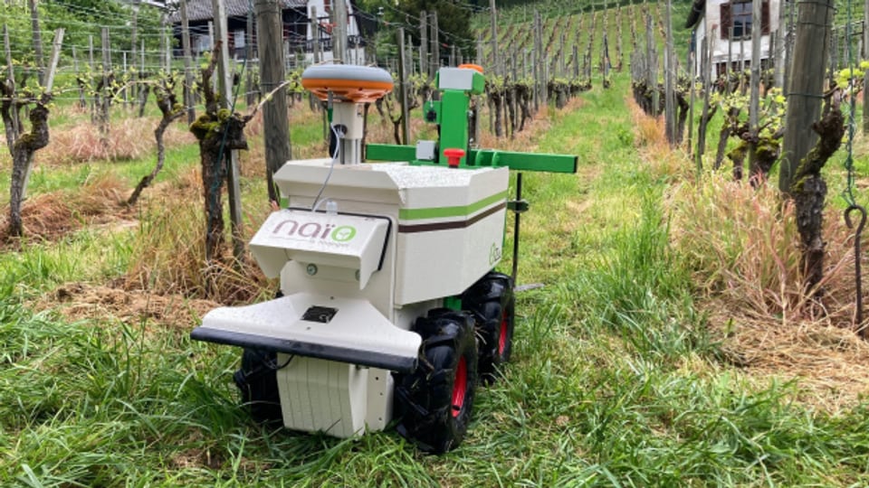 Revolutioniert dieser Roboter den Abbau von Weintrauben?