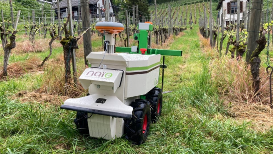 Dieser Roboter soll den Abbau von Weintrauben revolutionieren.