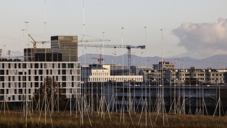Mehr als 2'500 Wohnungen wurden im letzten Jahr in Zürich gebaut - vor allem Mietwohnungen.