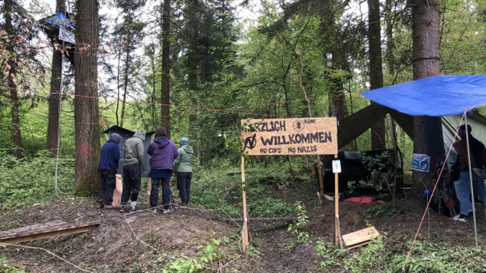 Deponie verhindern: Seit Tagen besetzen Aktivisten einen Wald bei Rümlang.