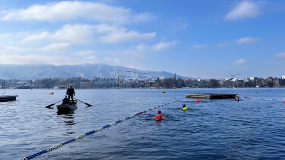 Schwimmen im Glück oder Kältetraining im Zürichsee