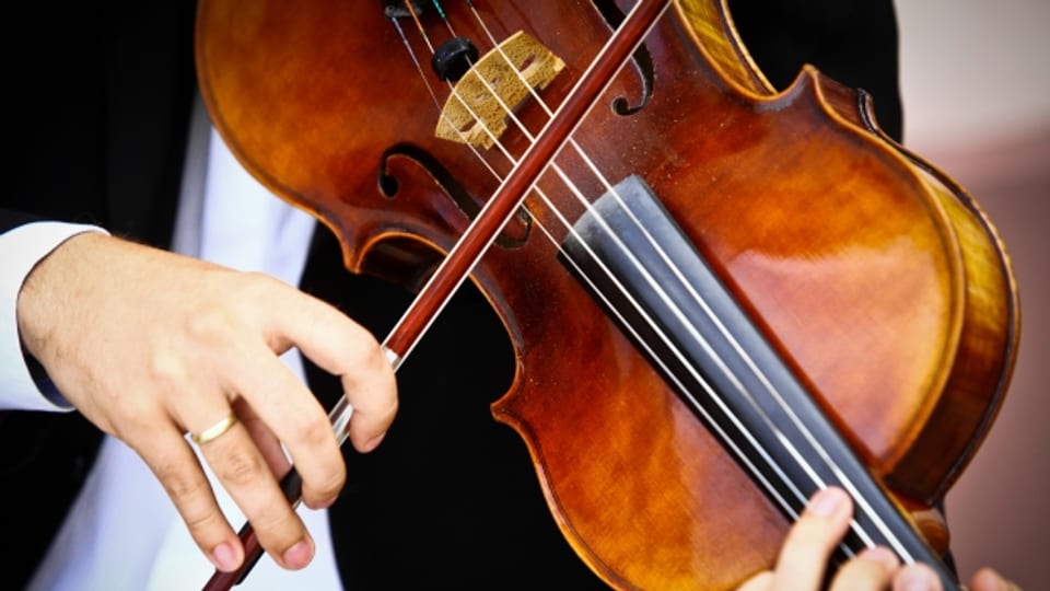 La viola La classica RTR