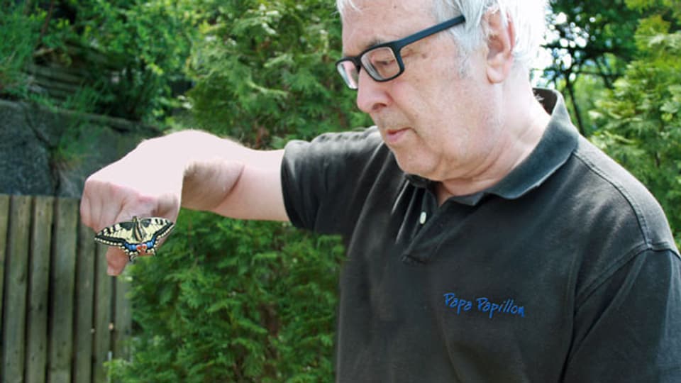 Marc de Roche mit einem frischgeschlüpften Schwalbenschwanz.