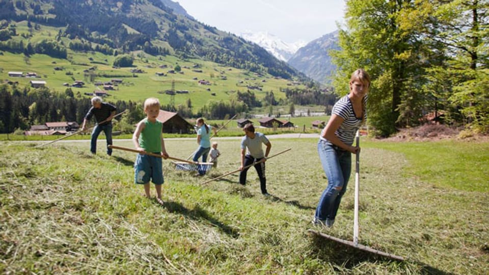 Harte Arbeit: Freiwilliger Bergeinsatz bei einer Bergbauernfamilie.