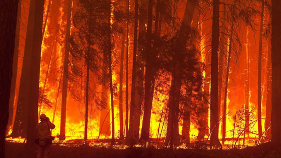 Kalifornien ist derzeit von Waldbränden betroffen.