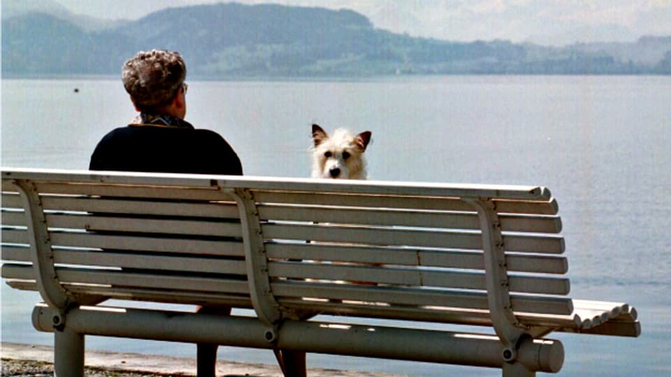 Eintracht am Zugersee: Eine ältere Frau geniesst mit ihrem Hund das schöne Wetter.