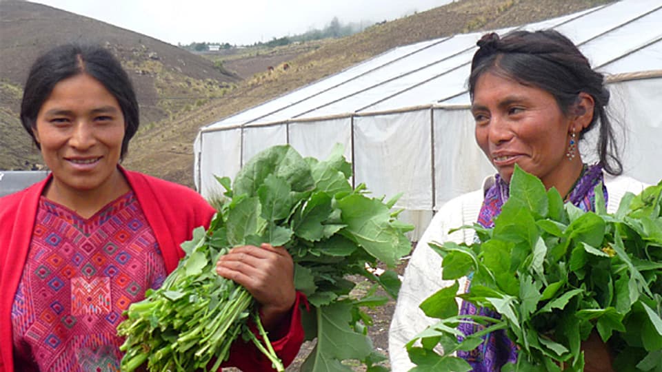 Ein Vivamos Mejor-Projekt gegen den Hunger im Atitlán-Hochland von Guatelama.