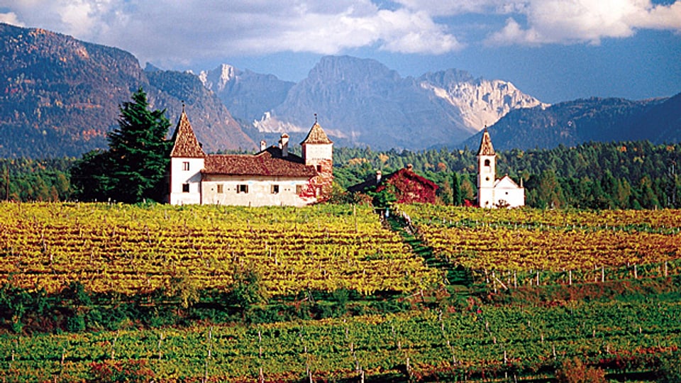 Der Gewürztraminer verdankt einem Winzerdorf im Südtirol seinen Namen.