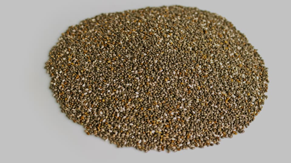 Chia-Samen sind reich an Alpha-Linolen-Säure.