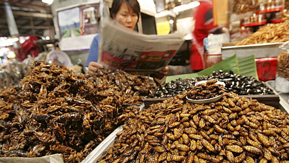 Beliebte Snacks: In Asien werden Insekten als Nahrungsmittel verkauft.