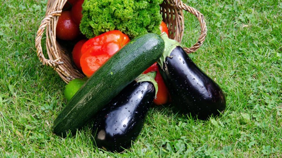 Beliebtes Grillgemüse, das sich zur Terrine verarbeiten lässt: Peperoni, Zucchini und Aubergine.