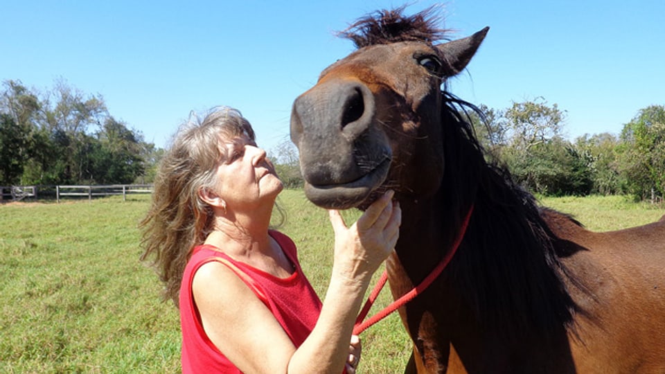 Susanne Fassbind auf ihrer Pferderange in Paraguay.