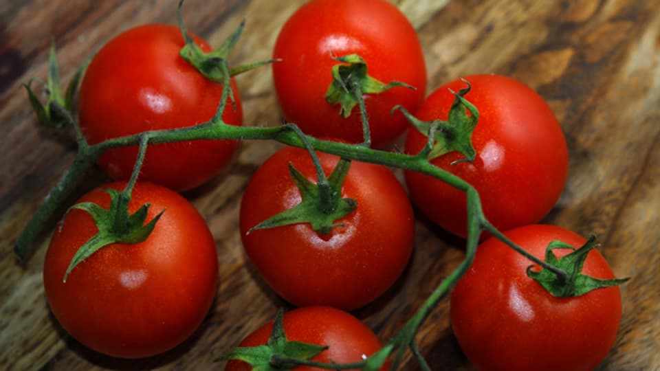 Zum Anbeissen: frische Tomaten.
