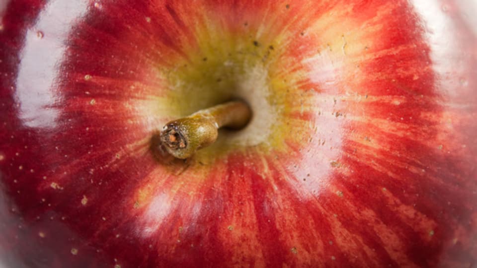 Am Freitag, 19. September 2014, ist der Tag des Apfels.