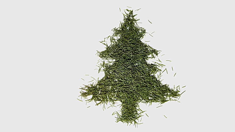 Den alten Weihnachtsbaum, der Nadeln verliert, im Wald zu entsorgen, ist verboten.