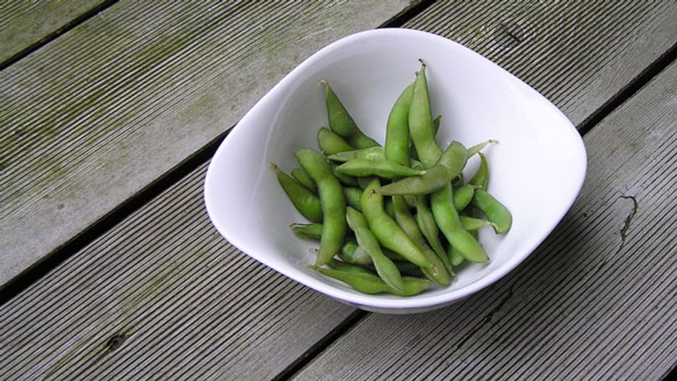 Edamame So wächst der gesunde Snack in Ihrem Garten Ratgeber SRF