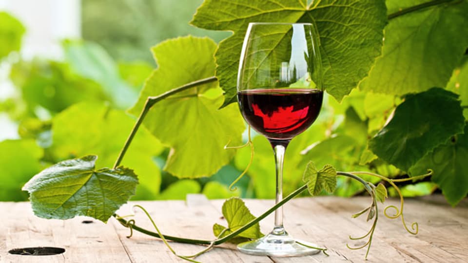 Fruchtig-süffige Rotweine mit moderatem Alkoholgehalt sind auch im Sommer ein Genuss.