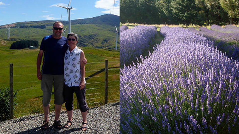Lila Leben: Barbara und Peter Sperl betreiben in Neuseeland eine Lavendel-Farm.