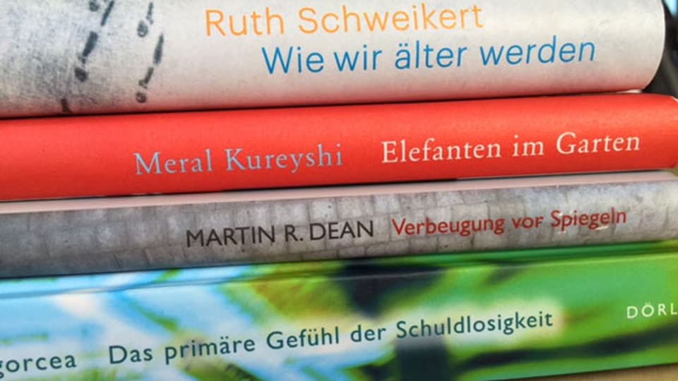 Aktuelle Buchempfehlungen: Prosaische Passionen - Kleine Probleme -  BuchZeichen - SRF