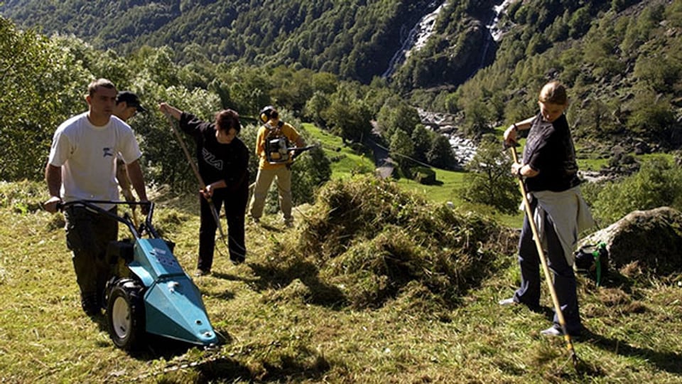 Junge Freiwillige packen im Val Bavona, einem Seitental des Maggiatals mit an.