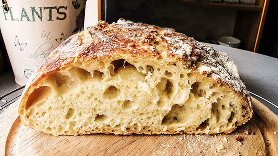 Das Brot mit der «No-Knead»-Methode sieht nicht nur lecker aus, es schmeckt auch gut.
