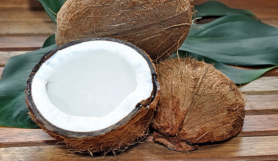 Vielseitige Kokosnuss: In tropischen Küchen ist sie das, was bei uns Rahm und Milch sind.