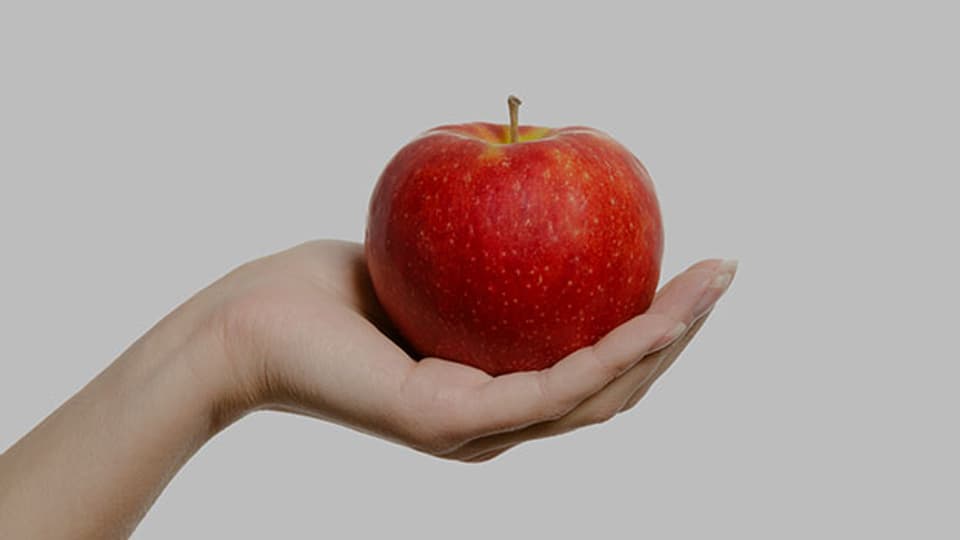 Ausserordentliches Geschmackserlebnis? Der Apfel nach dem Fastenbrechen erleben manche Leute als sensationelles Geschmackserlebnis.