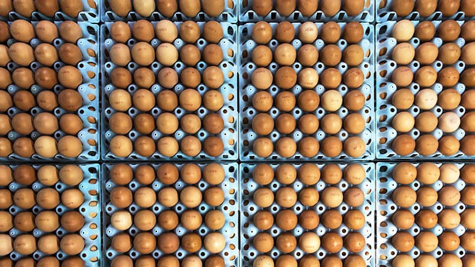 90 Kilokalorien: Eier sind gesünder als ihr Ruf das vermuten lässt.