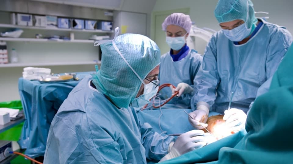 Der Verband Swiss Plastic Surgery will mit einer Informationsoffensive sensibilisieren.