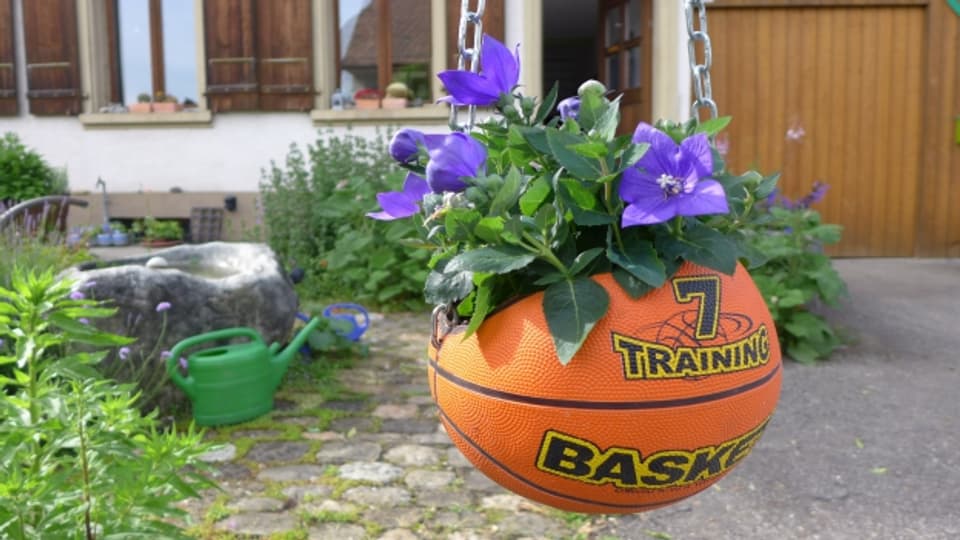 Ein alter Basketball lässt sich wunderbar in einen hängenden Garten verwandeln.