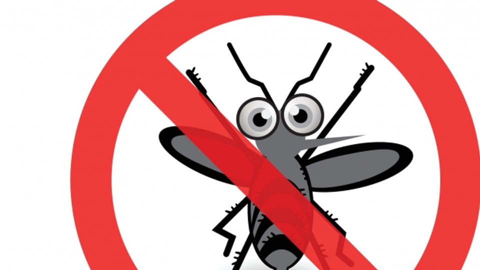 Auch diesen Sommer gefragt: Mückenschutz
