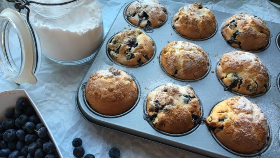 Fluffig und sehr lecker–Blueberry Muffins
