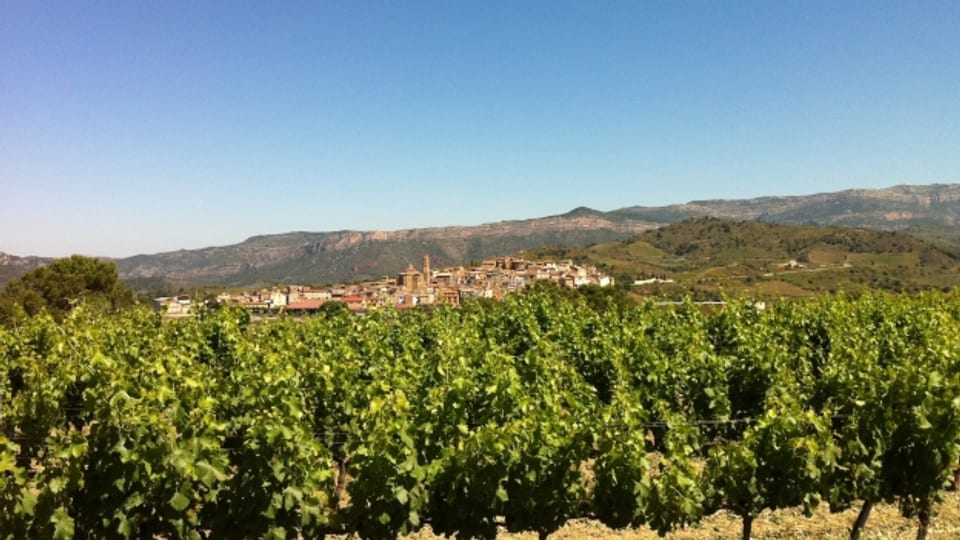 Weine aus dem Priolrat gehören heute zu den rennomiertesten und teuersten Weine Spaniens.