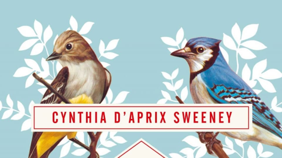 Cynthia D'Aprix Sweeney. Das Nest (Coverausschnitt)