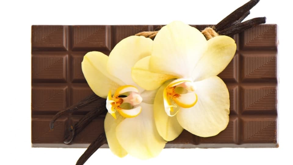 Das einzige, was an der Vanille gelb ist, ist ihre Blüte. Die Konsumenten mögen Vanille aber gelb. Das kommt vom Vanillepudding, den man im Original mit Eigelb herstellt.