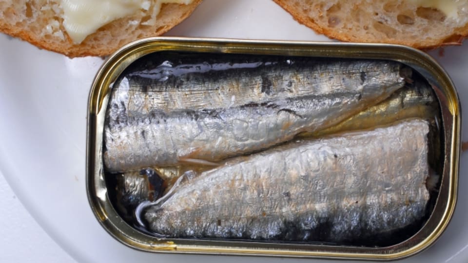 Sardinen aus der Dose Vom Billigfisch zur Delikatesse A point SRF