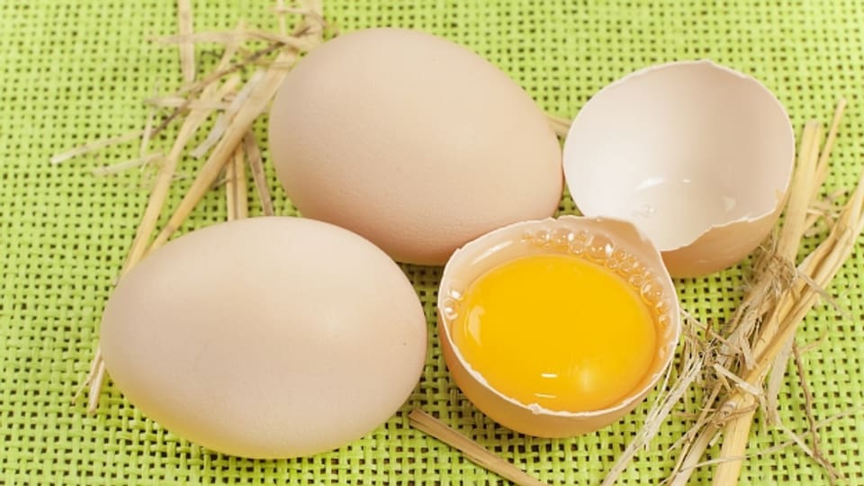 Ob Eier weiss oder braun sind, hängt nicht von der Hühnerrasse ab