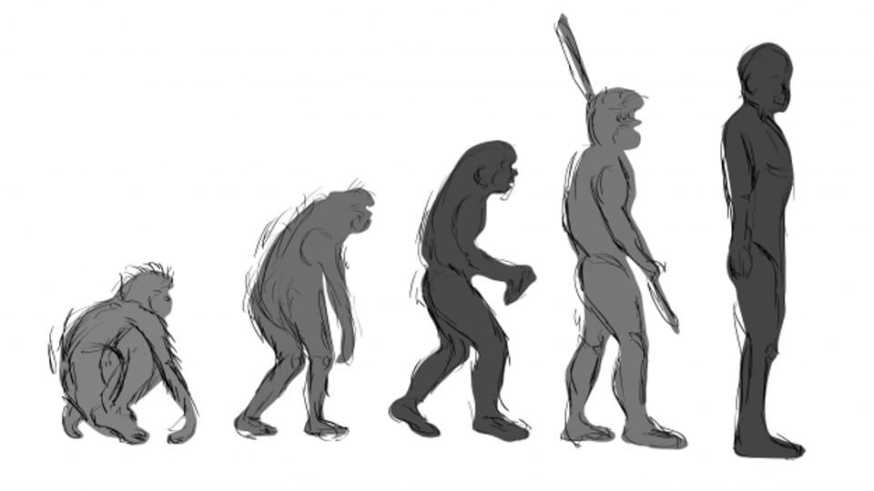 In Millionen von Jahren hat sich der Mensch aufgerichtet. Wie wird sich der menschliche Körper nun weiterentwickeln?