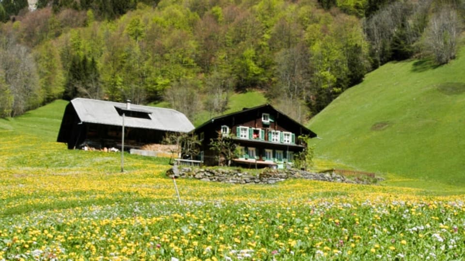 26 Prozent der Schweizer leben noch an dem Ort, an dem sie aufgewachsen sind.