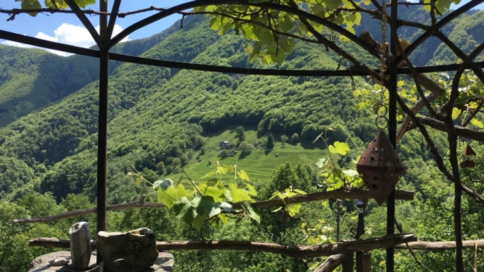 Dicht bewaldete Hügel im Valle Onsernone.