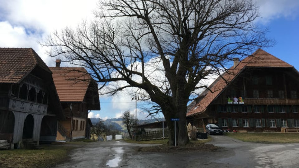Das «Sigetel» in Landiswil am Rand des Emmentals: Vier Generationen auf einem Hof – links im Stöckli Grosseltern und Urgrossvater, rechts im Bauernhaus das Besitzerpaar mit zwei Töchtern.