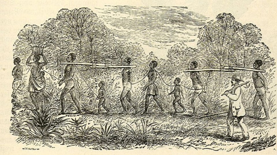 Auch Ostschweizer Sklavenhalter arbeiteten auf Plantagen in Surinam oder Südamerika.
