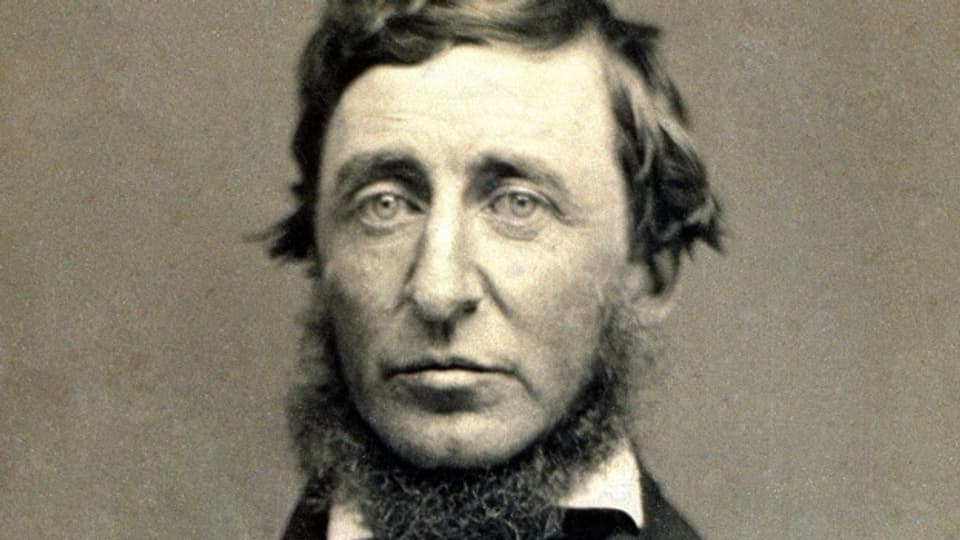 Henry David Thoreau  (Bild: Benjamin D. Maxham / National Portrait Gallery, Washington)