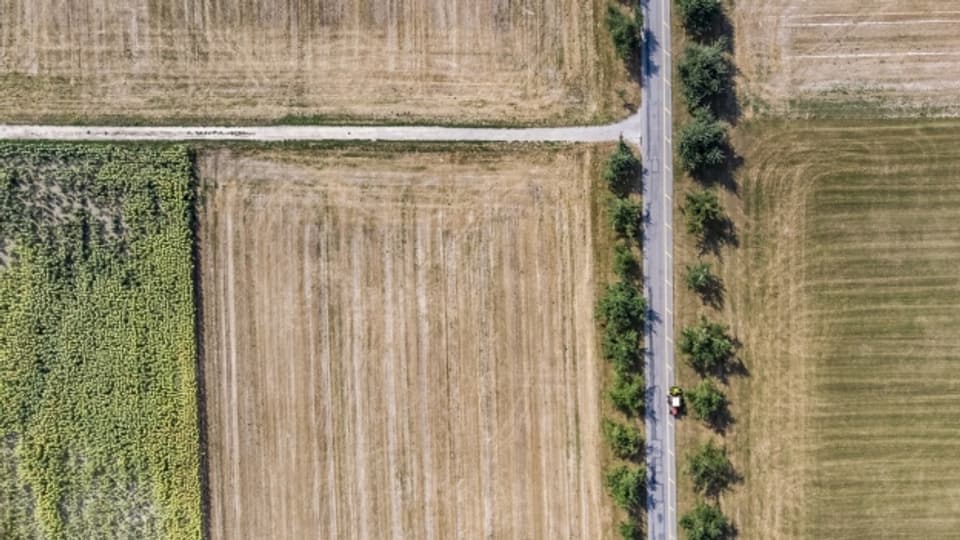 Ausgetrocknete Felder: Der Sommer 2018 hat den Bauern viel abverlangt.
